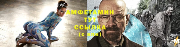 амф Инта