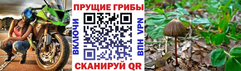 Галлюциногенные грибы мицелий  хочу наркоту  Реж 